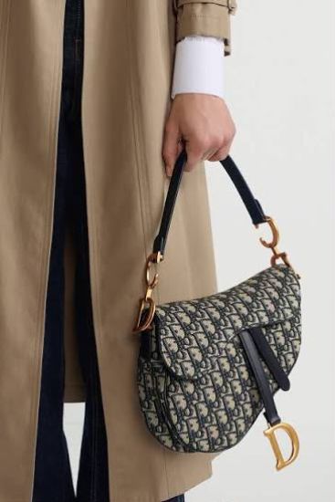صورة dior bag